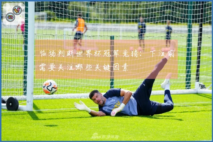 临场判断世界杯冠军竞猜:下注前需要关注哪些关键因素