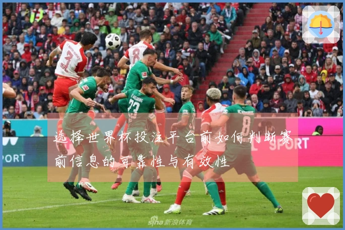 选择世界杯投注平台前如何判断赛前信息的可靠性与有效性