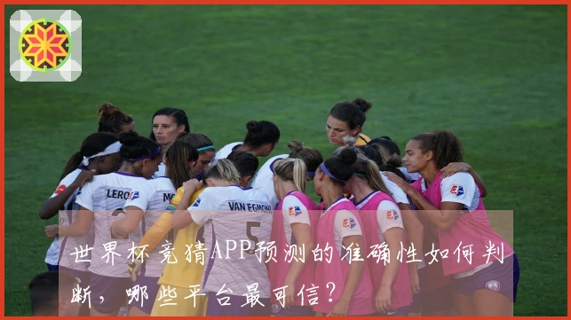 世界杯竞猜APP预测的准确性如何判断,哪些平台最可信?