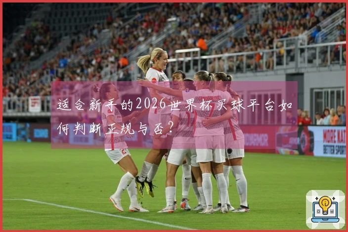 适合新手的2026世界杯买球平台如何判断正规与否？